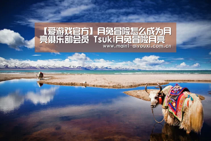 爱游戏体育app